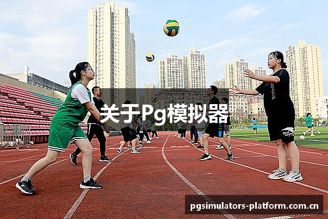 关于Pg模拟器